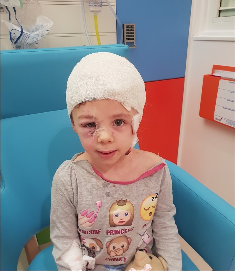 Other image for Sophie is ‘fixed up’ after harrowing dog attack